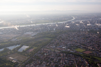 Photographie aérienne de Quartier Oppau in Ludwigshafen am Rhein dans le département Rhénanie-Palatinat, Allemagne