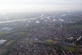 Vue oblique de Quartier Oppau in Ludwigshafen am Rhein dans le département Rhénanie-Palatinat, Allemagne