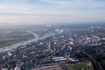 Quartier BASF in Ludwigshafen am Rhein dans le département Rhénanie-Palatinat, Allemagne vu d'un drone