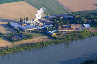 Vue aérienne de Usine Intersnack Deutschland SE à Petersau sur les rives du Rhin et école d'équitation Carlo von Opel au Demeter Hofgut Petersau à le quartier Mörsch in Frankenthal dans le département Rhénanie-Palatinat, Allemagne