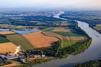 Photographie aérienne de Usine Intersnack Deutschland SE à Petersau sur les rives du Rhin et école d'équitation Carlo von Opel au Demeter Hofgut Petersau à le quartier Mörsch in Frankenthal dans le département Rhénanie-Palatinat, Allemagne