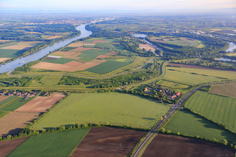 Vue aérienne de Gut Kirschgartshausen sur le barrage du Rhin à le quartier Sandhofen in Mannheim dans le département Bade-Wurtemberg, Allemagne