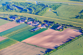 Vue aérienne de Rheindamm (la route principale vers le Rhin) avec la Fresh Box de Karin à le quartier Sandhofen in Mannheim dans le département Bade-Wurtemberg, Allemagne