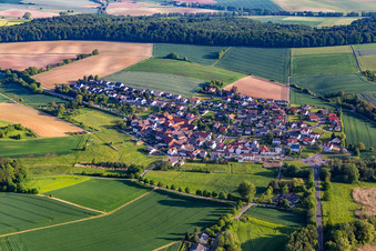 Vue aérienne de Quartier Hahn in Ober-Ramstadt dans le département Hesse, Allemagne
