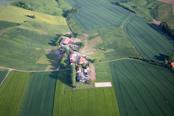 Vue aérienne de Ferme Hirtenwiese et pension pour chevaux Ährenhof à Reinheim dans le département Hesse, Allemagne