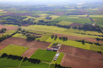 Vue aérienne de Aussiedlerhof sur le site de vol à voile à Reinheim dans le département Hesse, Allemagne