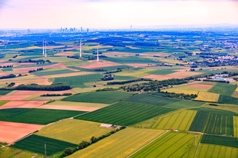 Vue aérienne de Ligne d'horizon de Frankfurt am Main depuis le nord-est de Schöneck à le quartier Nordend-West in Frankfurt am Main dans le département Hesse, Allemagne