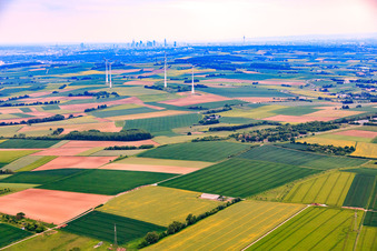 Vue aérienne de Ligne d'horizon de Frankfurt am Main depuis le nord-est de Schöneck à le quartier Nordend-West in Frankfurt am Main dans le département Hesse, Allemagne