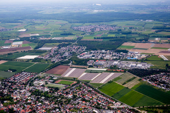 Vue aérienne de Quartier Sandwiese in Alsbach-Hähnlein dans le département Hesse, Allemagne