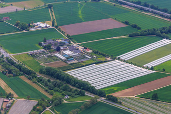 Photographie aérienne de Fleurs de Lindenhof à le quartier Auerbach in Bensheim dans le département Hesse, Allemagne