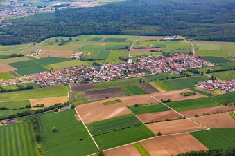 Vue aérienne de Quartier Rodau in Zwingenberg dans le département Hesse, Allemagne