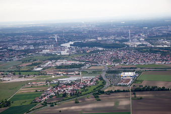 Vue oblique de Scharhof, IKEA à le quartier Sandhofen in Mannheim dans le département Bade-Wurtemberg, Allemagne