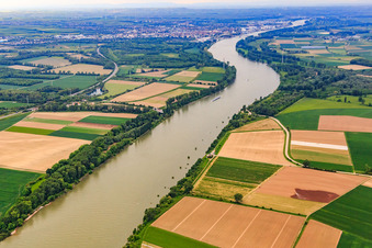 Photographie aérienne de Petersau dans le département Rhénanie-Palatinat, Allemagne