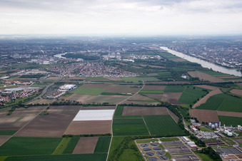 Vue aérienne de Station d'épuration à le quartier Sandhofen in Mannheim dans le département Bade-Wurtemberg, Allemagne