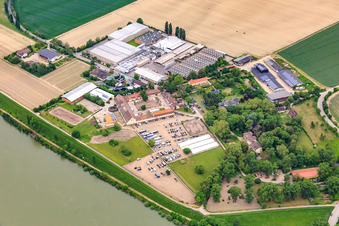 Vue oblique de Petersau dans le département Rhénanie-Palatinat, Allemagne