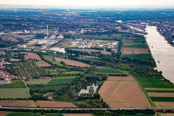 Vue aérienne de Île de Friesenheim à le quartier Neckarstadt-West in Mannheim dans le département Bade-Wurtemberg, Allemagne