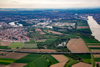 Vue aérienne de Île de Friesenheim à le quartier Sandhofen in Mannheim dans le département Bade-Wurtemberg, Allemagne