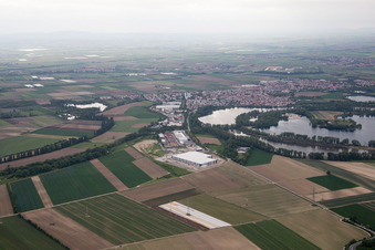 Vue oblique de Quartier Roxheim in Bobenheim-Roxheim dans le département Rhénanie-Palatinat, Allemagne