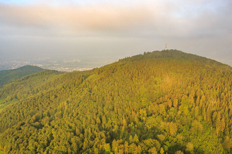 Vue aérienne de Pylônes de transmission sur le Melibokus à le quartier Hochstädten in Bensheim dans le département Hesse, Allemagne