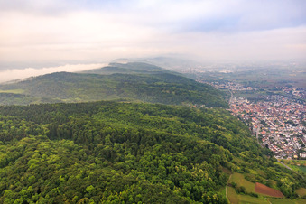 Vue aérienne de Pentes de l'Odenwald dans la brume matinale du nord à Hemsbach dans le département Bade-Wurtemberg, Allemagne