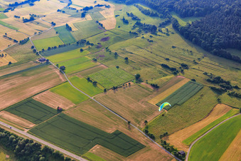 Vue aérienne de Prairies et champs dans la vallée principale à Bürgstadt dans le département Bavière, Allemagne