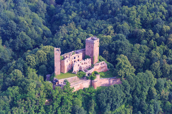 Vue aérienne de Ruines du château de Henneburg à le quartier Hofthiergarten in Stadtprozelten dans le département Bavière, Allemagne