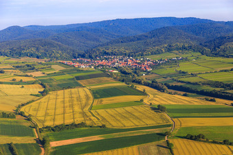 Vue aérienne de Champs et vignobles jusqu'à la forêt du Palatinat à Oberotterbach dans le département Rhénanie-Palatinat, Allemagne