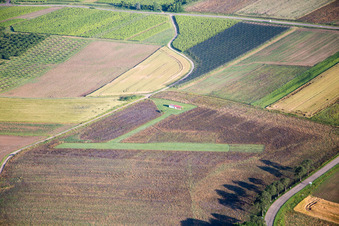 Vue aérienne de Aérodrome modèle à Oberhoffen-lès-Wissembourg dans le département Bas Rhin, France