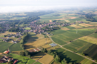 Steinseltz dans le département Bas Rhin, France depuis l'avion