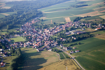Steinseltz dans le département Bas Rhin, France vue du ciel