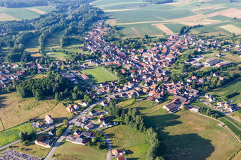 Vue aérienne de Champs agricoles et terres agricoles à Riedseltz dans le département Bas Rhin, France