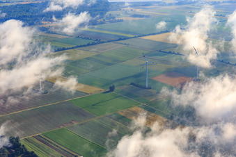 Vue aérienne de Le parc éolien de Minfeld sous les nuages à Minfeld dans le département Rhénanie-Palatinat, Allemagne