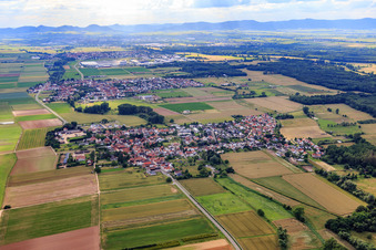 Vue aérienne de Vue du village depuis l'est à Knittelsheim dans le département Rhénanie-Palatinat, Allemagne