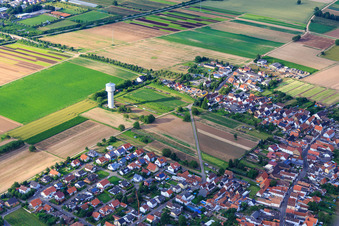Vue aérienne de Château d'eau à le quartier Niederlustadt in Lustadt dans le département Rhénanie-Palatinat, Allemagne