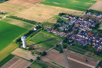 Vue aérienne de Château d'eau et église d'Unterdorf Lustadt à le quartier Niederlustadt in Lustadt dans le département Rhénanie-Palatinat, Allemagne