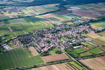 Vue aérienne de (Palatinat) à Weingarten dans le département Rhénanie-Palatinat, Allemagne
