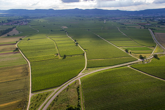 Vue aérienne de Vignobles sur la B39 à le quartier Geinsheim in Neustadt an der Weinstraße dans le département Rhénanie-Palatinat, Allemagne