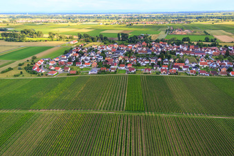 Vue aérienne de Sentier des dix-huit acres depuis le nord à le quartier Duttweiler in Neustadt an der Weinstraße dans le département Rhénanie-Palatinat, Allemagne