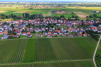 Vue aérienne de Sentier des dix-huit acres depuis le nord à le quartier Duttweiler in Neustadt an der Weinstraße dans le département Rhénanie-Palatinat, Allemagne