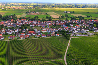 Photographie aérienne de Sentier des dix-huit acres depuis le nord à le quartier Duttweiler in Neustadt an der Weinstraße dans le département Rhénanie-Palatinat, Allemagne