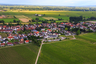 Vue aérienne de École canine Red Bone à le quartier Duttweiler in Neustadt an der Weinstraße dans le département Rhénanie-Palatinat, Allemagne