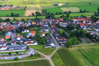 Vue aérienne de Cimetière à le quartier Duttweiler in Neustadt an der Weinstraße dans le département Rhénanie-Palatinat, Allemagne