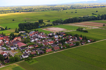 Vue aérienne de Rue Mandelberg à le quartier Duttweiler in Neustadt an der Weinstraße dans le département Rhénanie-Palatinat, Allemagne