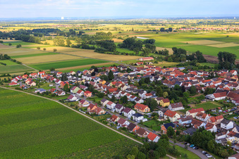 Photographie aérienne de Dix-huit chemins du matin à le quartier Duttweiler in Neustadt an der Weinstraße dans le département Rhénanie-Palatinat, Allemagne