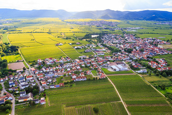 Vue aérienne de Vue de la ville depuis l'est à Kirrweiler dans le département Rhénanie-Palatinat, Allemagne