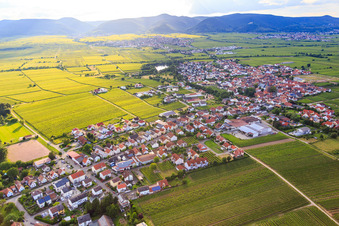 Photographie aérienne de Vue de la ville depuis l'est à Kirrweiler dans le département Rhénanie-Palatinat, Allemagne