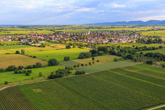 Vue aérienne de Vue de la ville depuis le nord-est à Edesheim dans le département Rhénanie-Palatinat, Allemagne