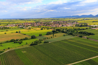 Vue aérienne de Vue de la ville depuis le nord-est à Edesheim dans le département Rhénanie-Palatinat, Allemagne