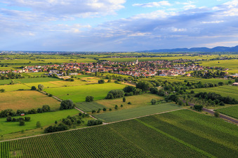 Vue oblique de Vue de la ville depuis le nord-est à Edesheim dans le département Rhénanie-Palatinat, Allemagne