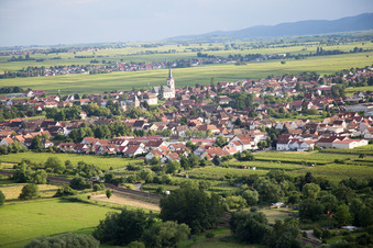 Vue aérienne de Quartier d'Eckel à Edesheim dans le département Rhénanie-Palatinat, Allemagne